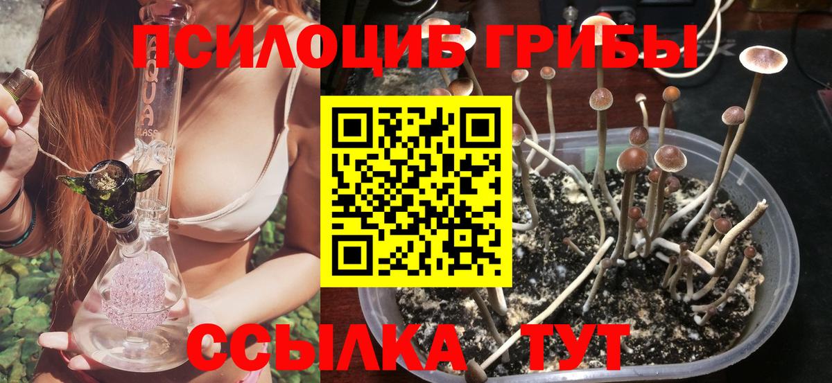 Псилоцибиновые грибы MAGIC MUSHROOMS Азнакаево