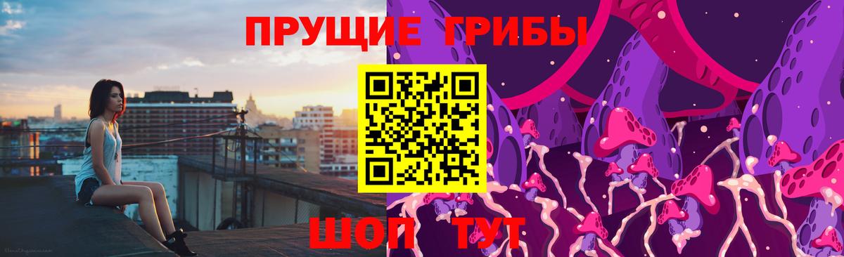 Азнакаево  Галлюциногенные грибы Psilocybine cubensis  Вход с VPN 